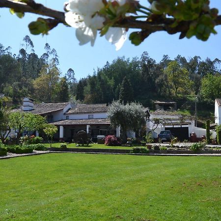 Quintal De Alem Do Ribeiro-Turismo Rural Lousã Dış mekan fotoğraf