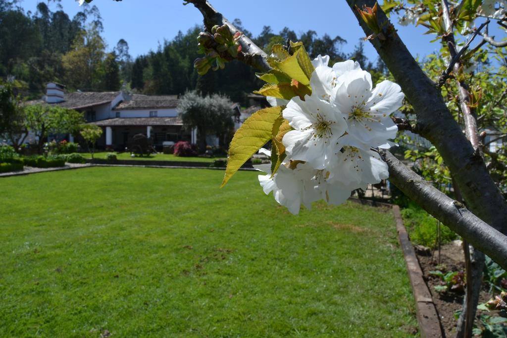 Quintal De Alem Do Ribeiro-Turismo Rural Lousã Dış mekan fotoğraf
