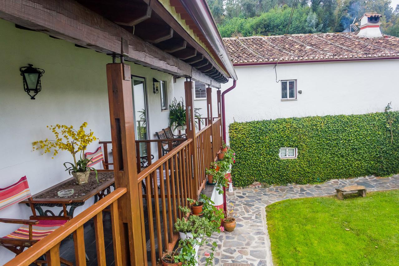 Quintal De Alem Do Ribeiro-Turismo Rural Lousã Dış mekan fotoğraf