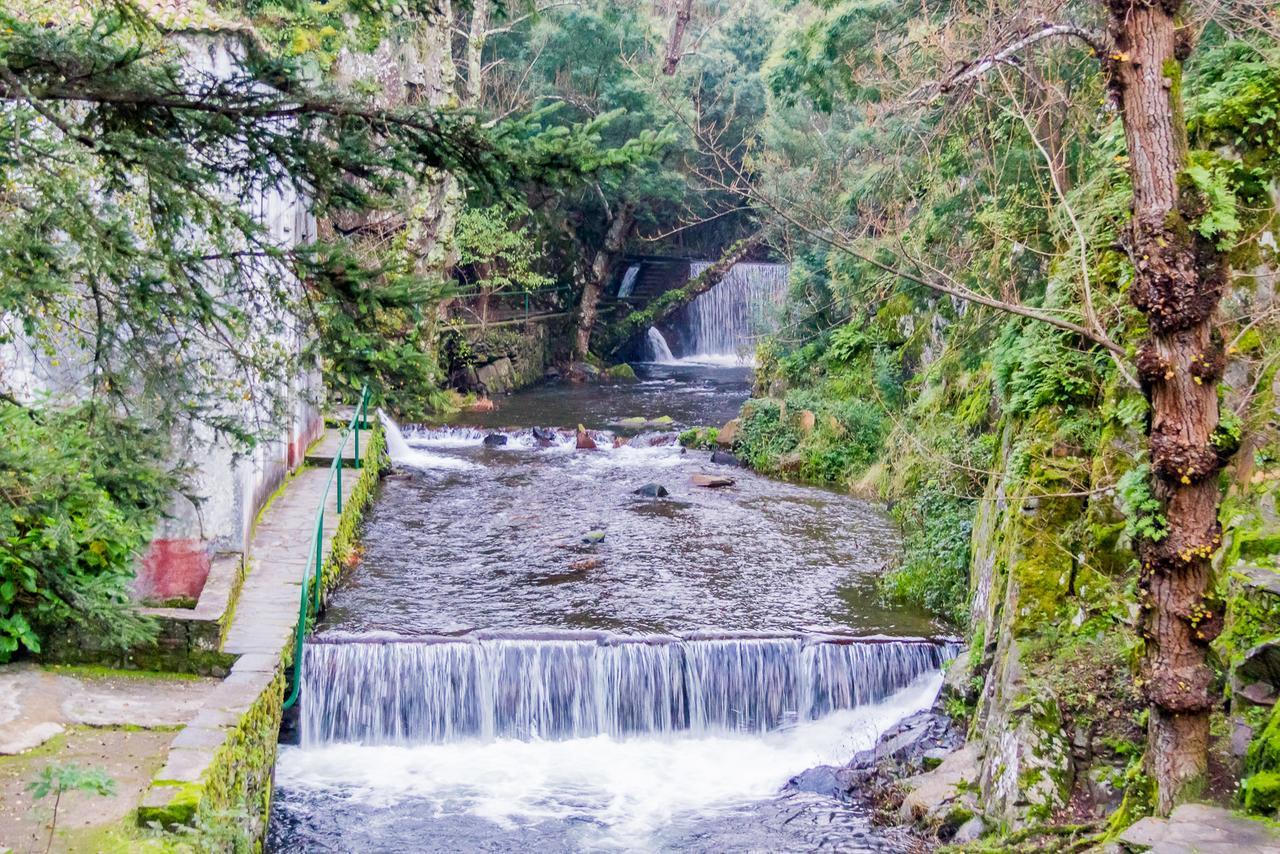 Quintal De Alem Do Ribeiro-Turismo Rural Lousã Dış mekan fotoğraf