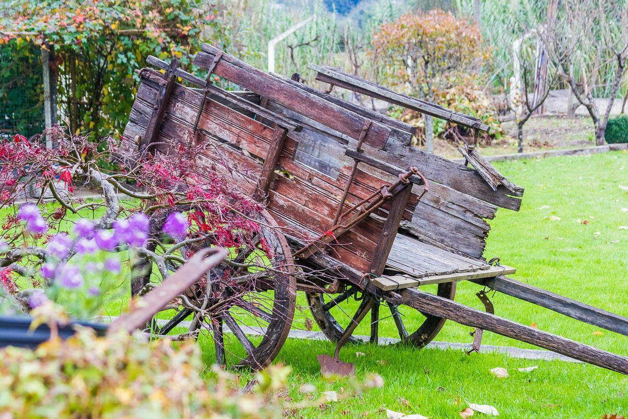 Quintal De Alem Do Ribeiro-Turismo Rural Lousã Dış mekan fotoğraf