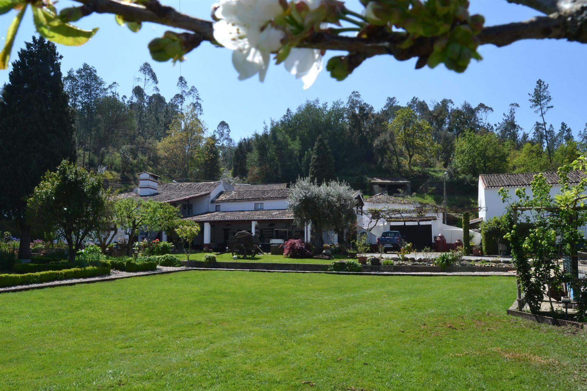 Quintal De Alem Do Ribeiro-Turismo Rural Lousã Dış mekan fotoğraf