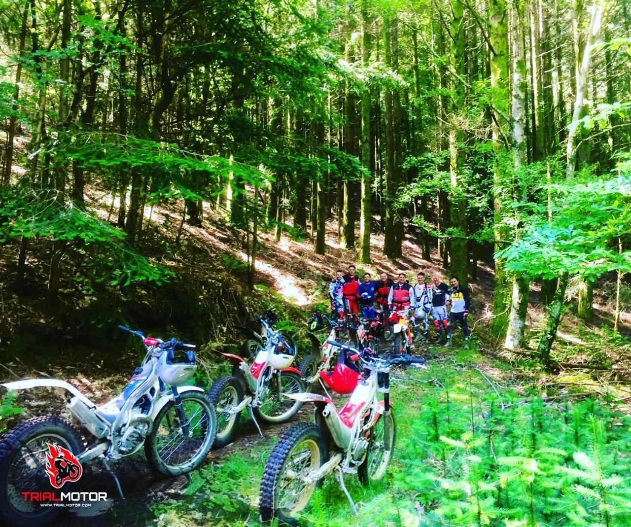 Quintal De Alem Do Ribeiro-Turismo Rural Lousã Dış mekan fotoğraf